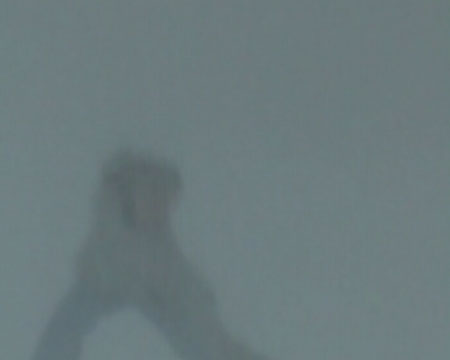 dansneg103