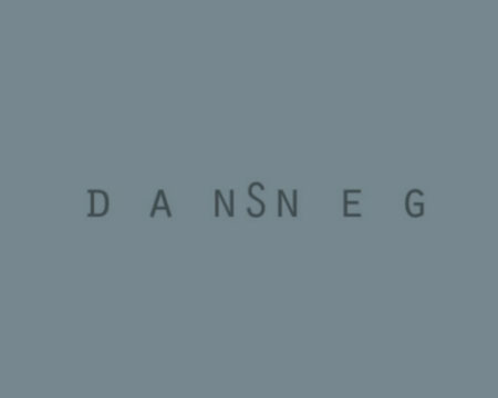 dansneg202
