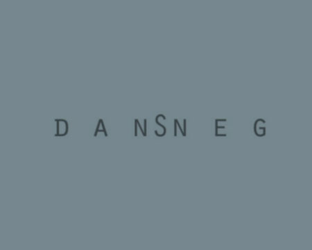 dansneg207