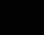 dansneg240